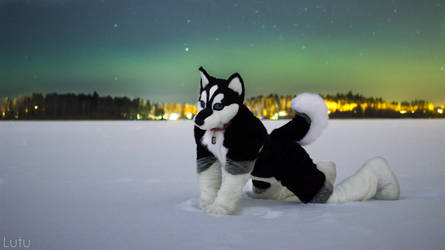 Enjoying the snow under Northern Lights