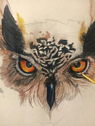 The Gaze of an Eagle Owl (In Progress)