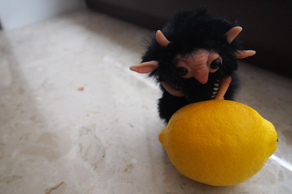 Little troll gnome TZEMO with lemon