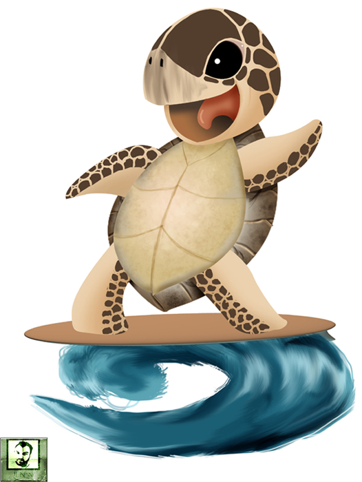 Sea Turtle