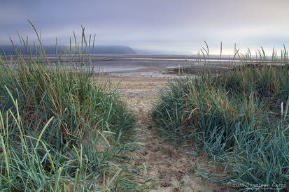 010610 West Shore Dunes