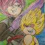 SSJ Rose Black Goku and Super Sonic