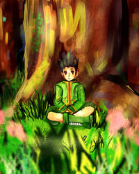 HxH-Gon's Forest