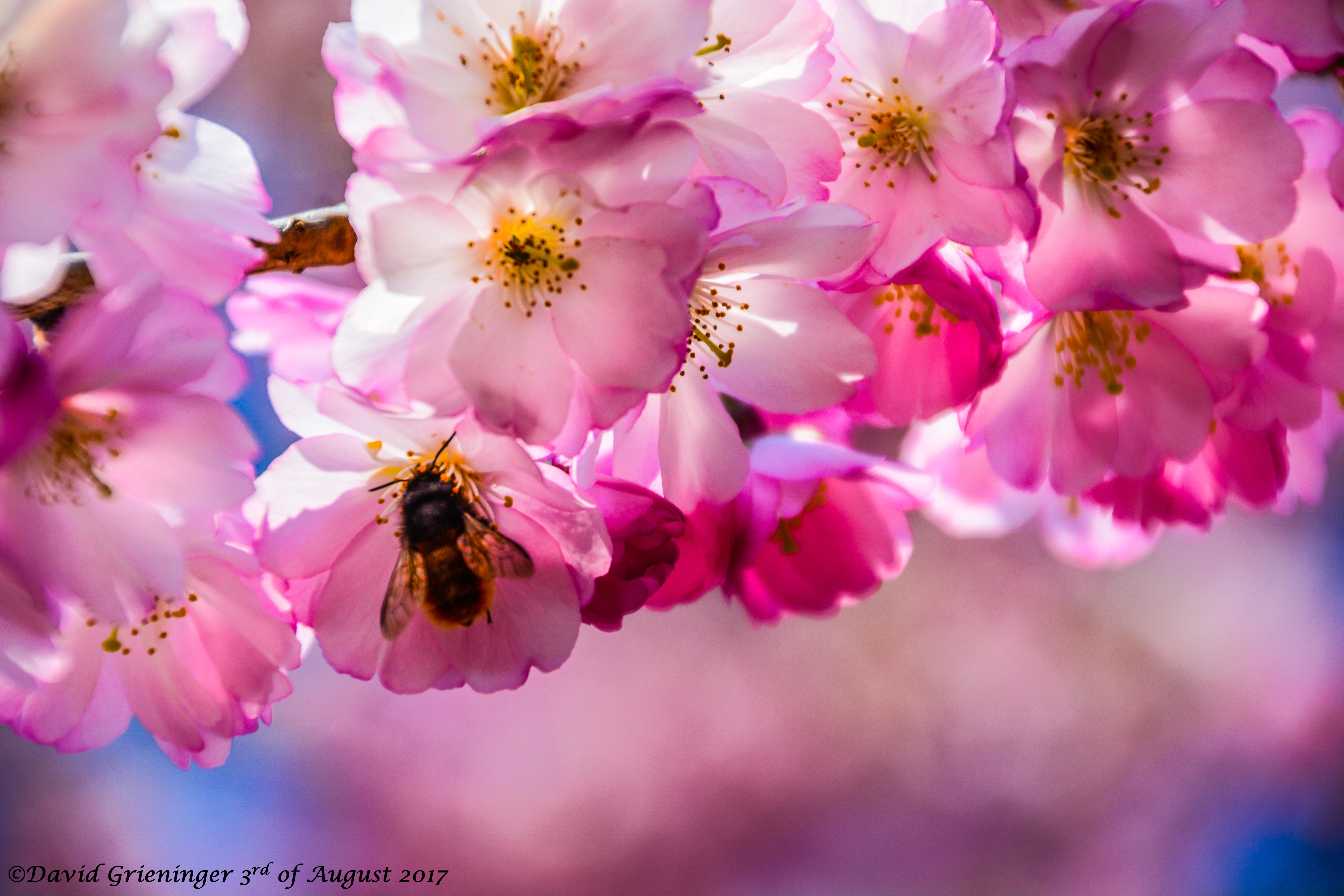 When Spring Returns