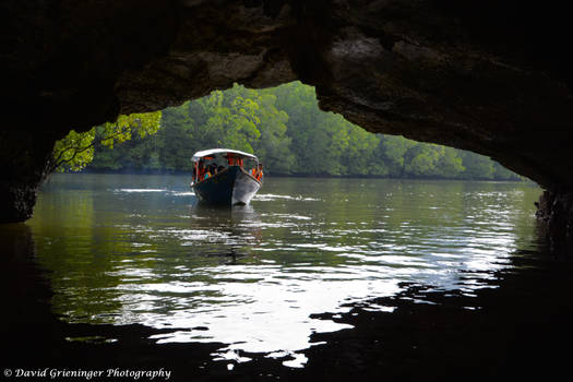 Into the Cave