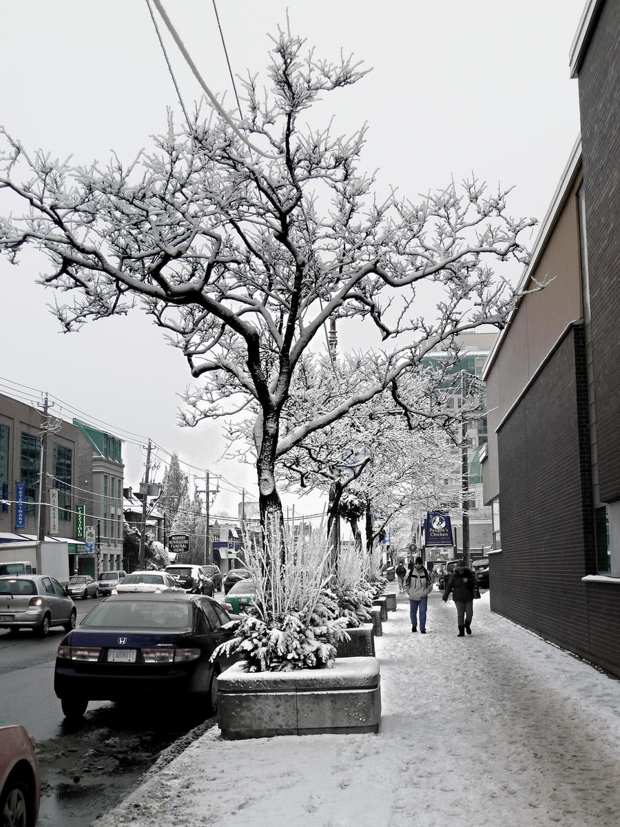 Snowy Walk: Mt Pleasant