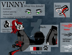 Vinny Refsheet 2019