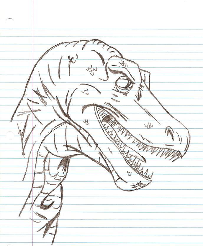 Raptor