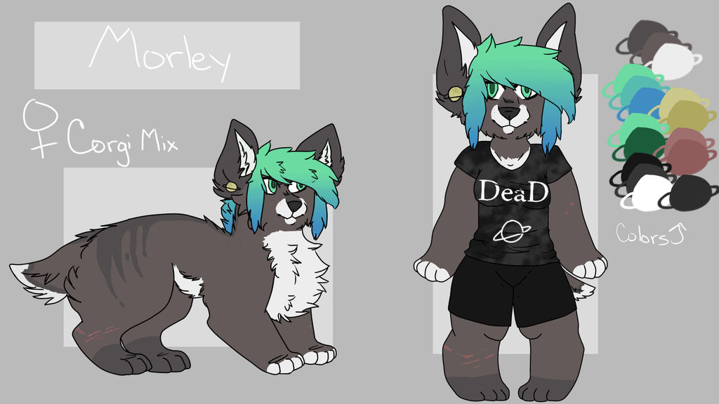 Morley Ref by flowersniffer101 on DeviantArt