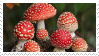 Mushroom Stamp ftu