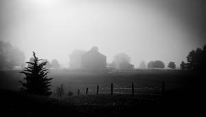 Rural Fog