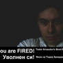 You are Fired