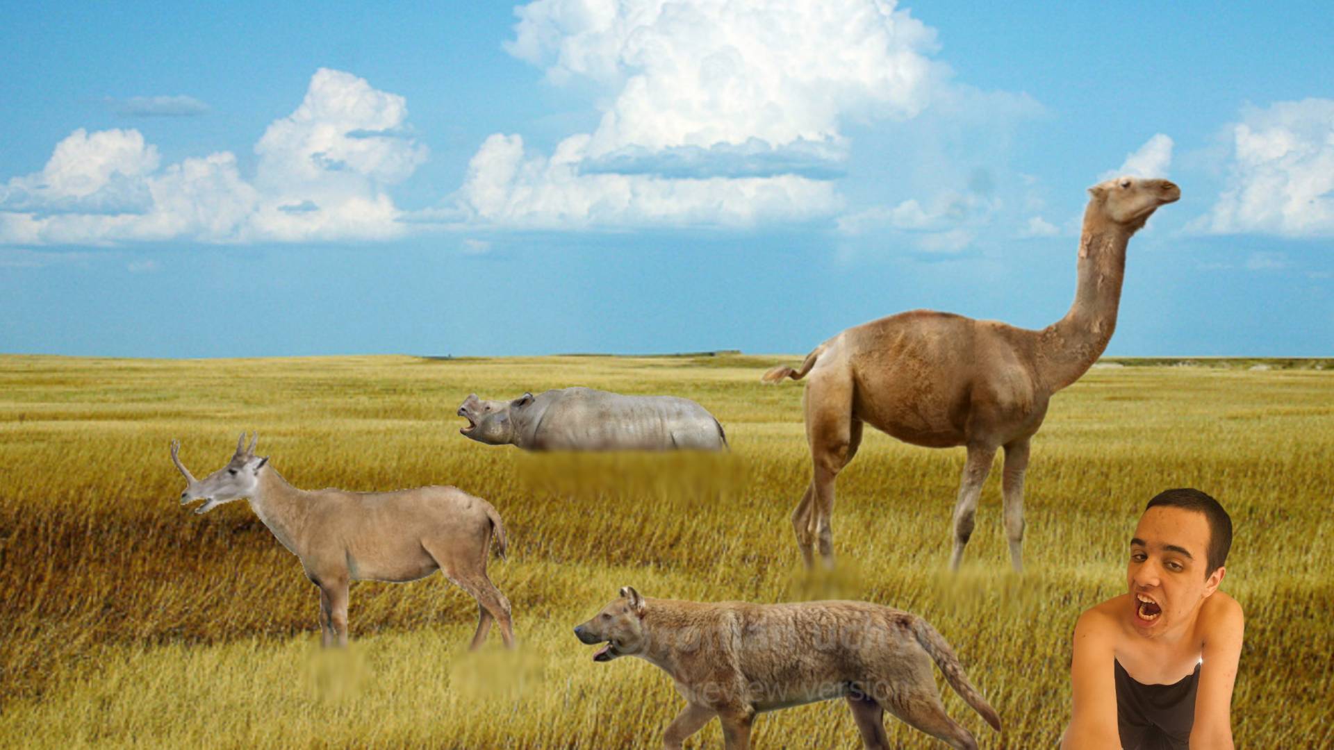 Miocene Animals Epoch (Nebraska) by markuspernalonga on DeviantArt