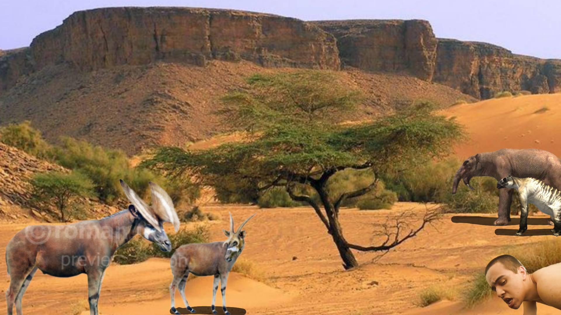 Miocene Animals Epoch (North Africa) by markuspernalonga on DeviantArt