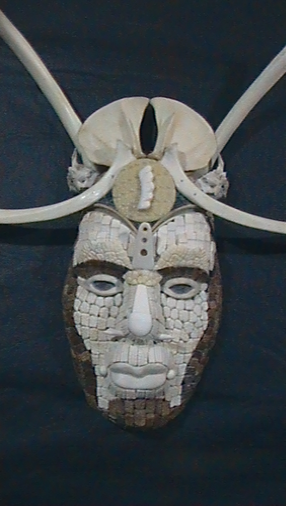 Dasypus mask 23