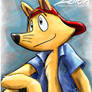 Portrait of Zorori - SHORT video on YouTube