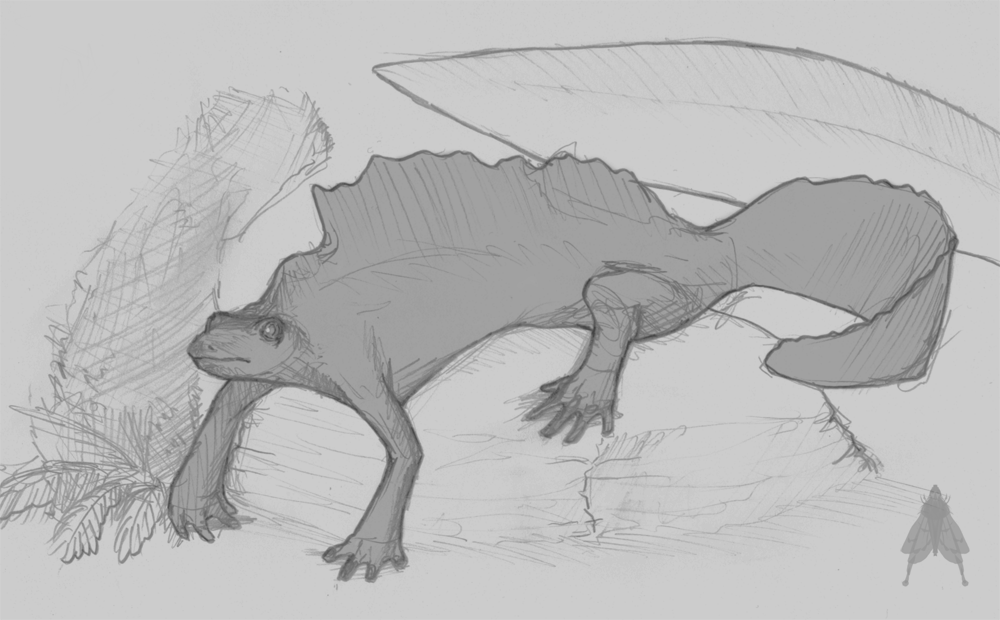 Sketchy Salamander