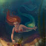 Curious Mermaid