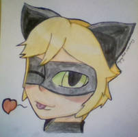 Chat Noir