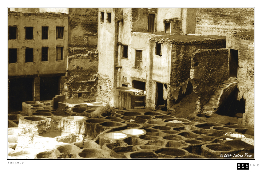 tannery by reaand