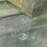 Drop on a Metal