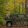 Camouflaged Scion III