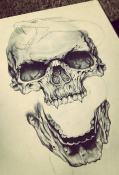 Skull Work In Progress