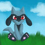 Riolu