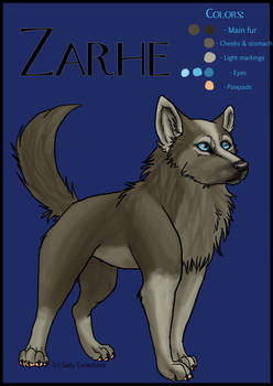 Character Sheet no. 12_Zarhe