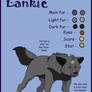 Character Sheet no. 13_Lankie