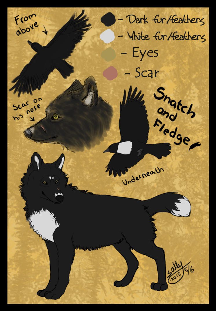 Fledge Character Character Sheet no. 7_Snatch and Fledge by Sally-Ce on DeviantArt