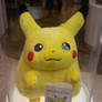 Pickachu Glass Display