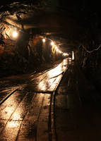 In the coal mine