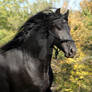 Keegan October 2008 headshot