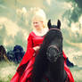 Friesian wonderland