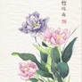 Chinese Painting...Tulips