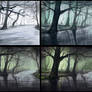 Fantasy forest process