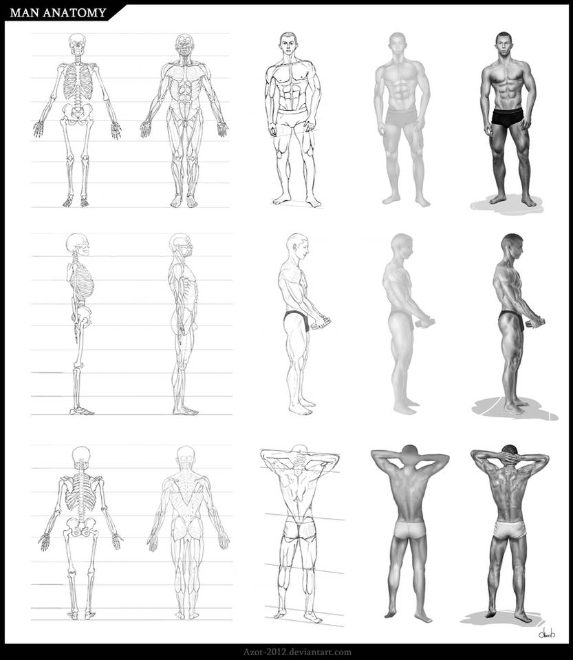 Man Anatomy by Azot2021