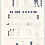 Anatomy Basic Shapes