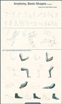 Anatomy Basic Shapes ll part