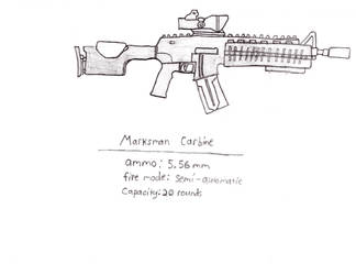 Marksman carbine