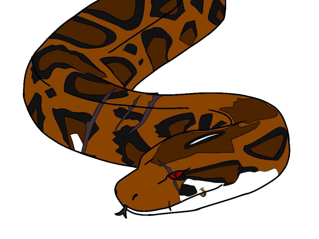 King of the burmese Pythons. by LylacArt on DeviantArt