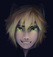 Chat Noir Maskless