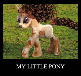 Real My Little Pony