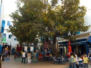 Essaouira Souk