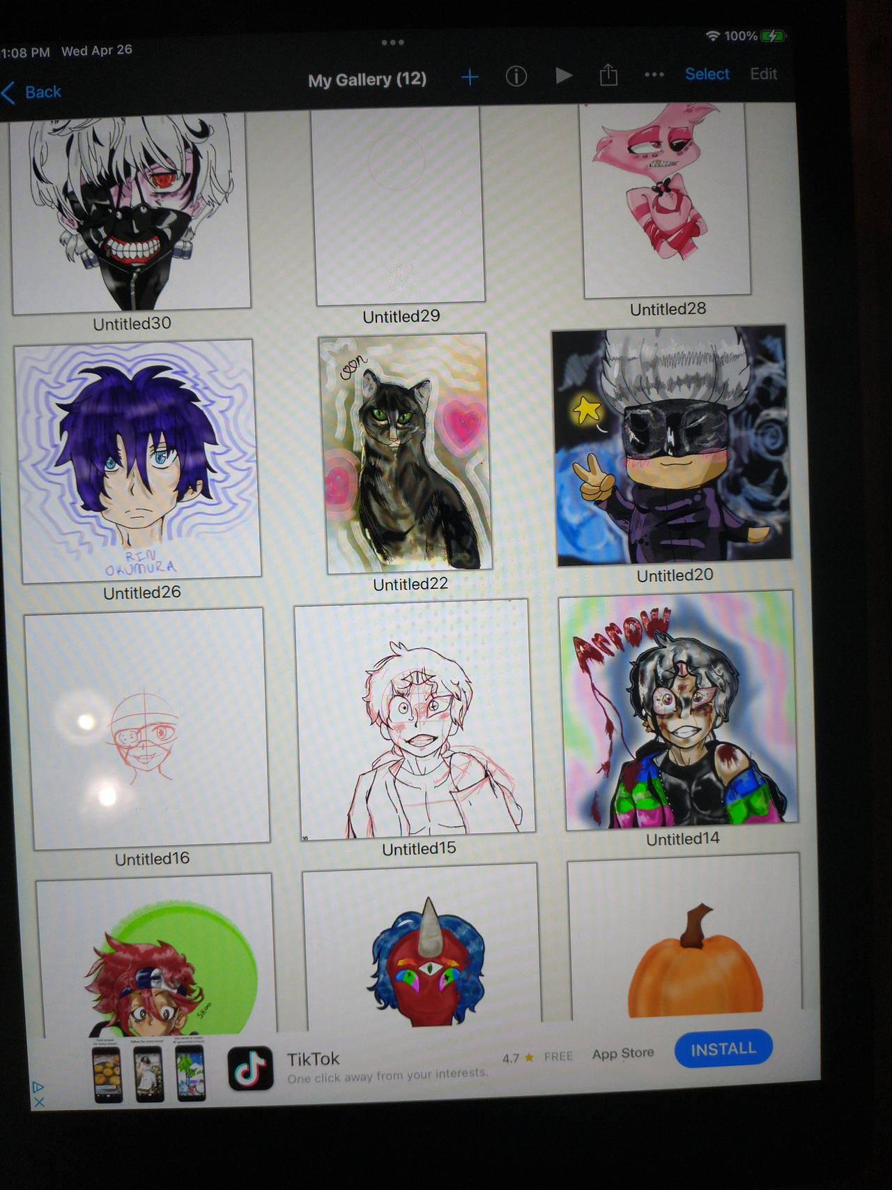 My ibis paint gallery on IPad