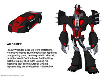 TFA Stunticons: Wildrider