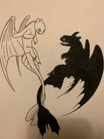Toothless and Brightwing