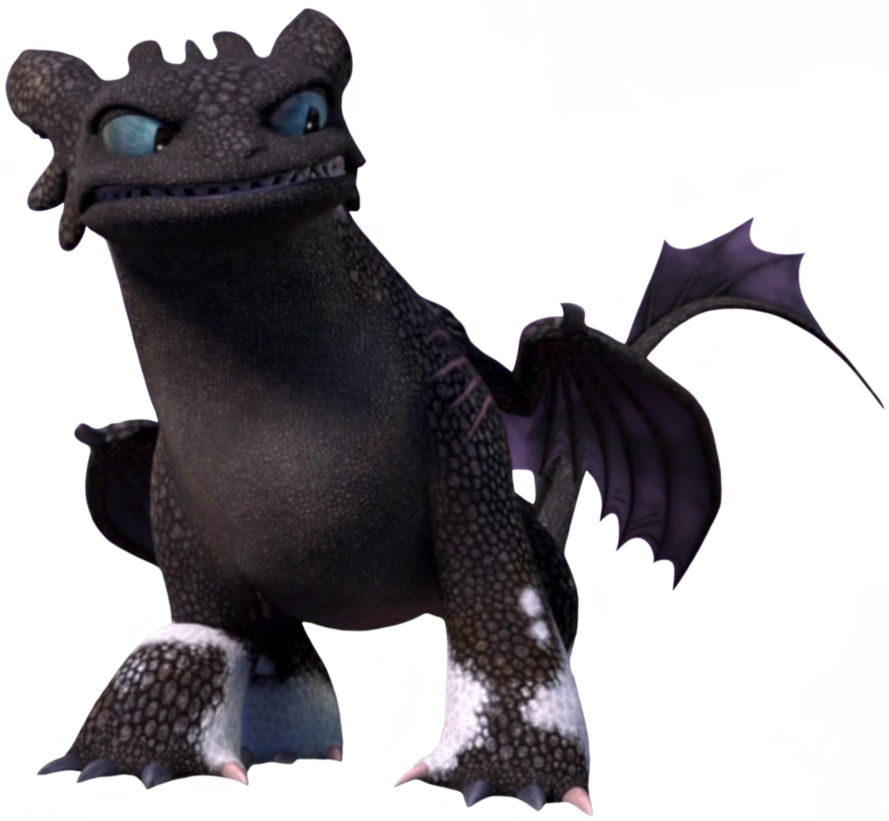 Raventail the Night Light