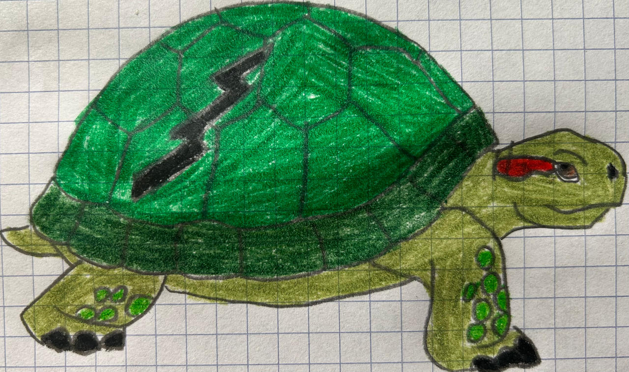 Lanis pet turtle Honu